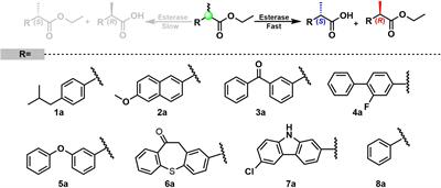 Enhanced Production of (S)-2-arylpropionic Acids by Protein Engineering and Whole-Cell Catalysis